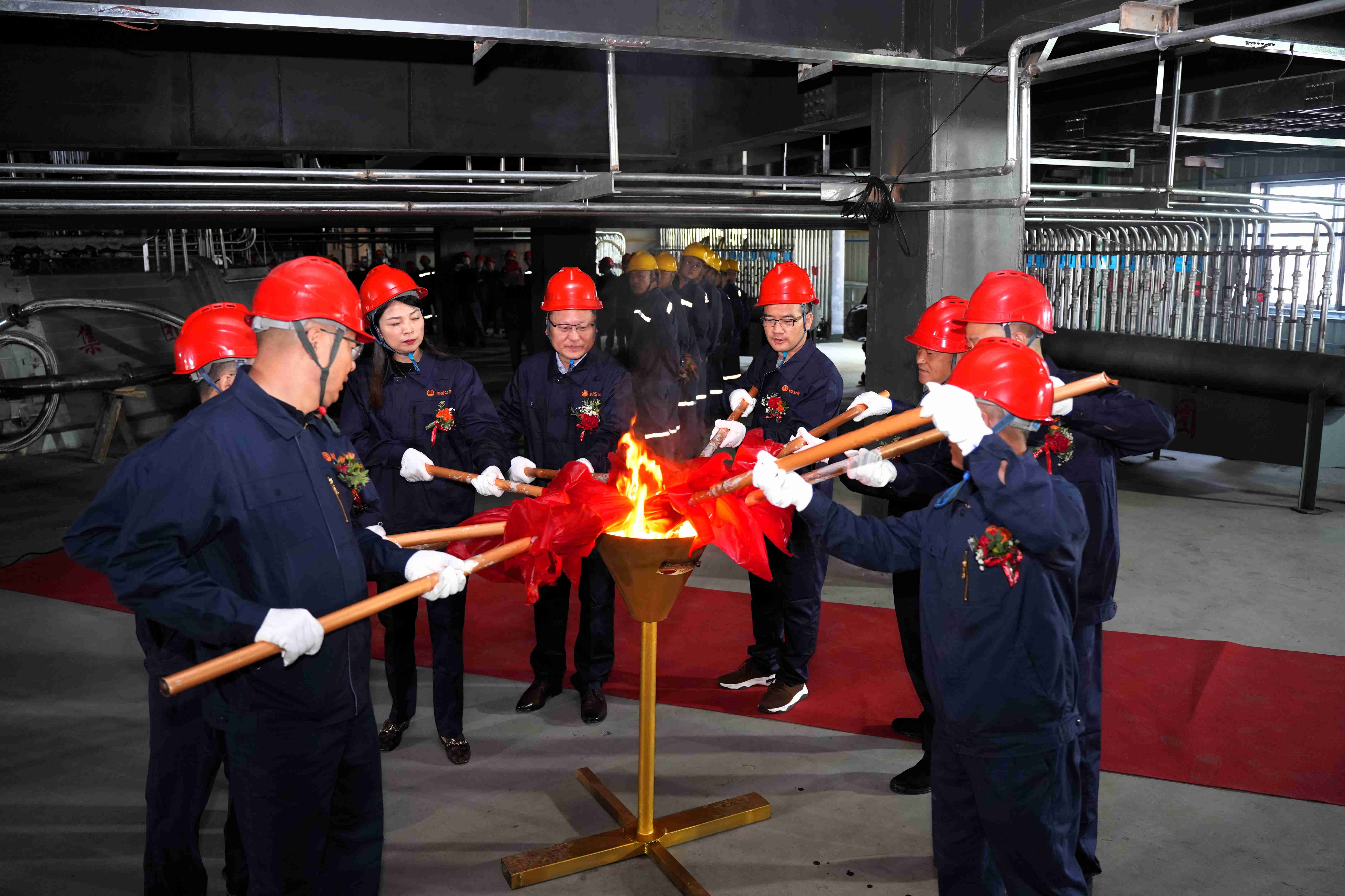 1693994572475373.jpg 1693994572475373.jpg